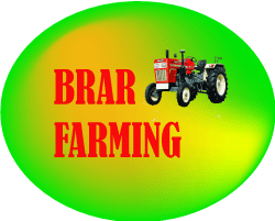 Brar Blog